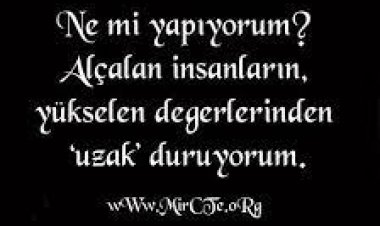 En Güzel Damar Sözler