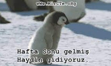 Hafta Sonu Mesajları