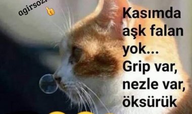 Kasımda Aşk FaLan Yok
