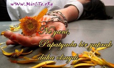 en güzel aşk sözleri