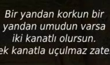 Kanatlanıp uçtuğumuz zamanlarda