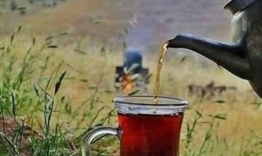 Farkında mısınız