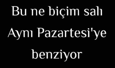Bu ne Biçim salı
