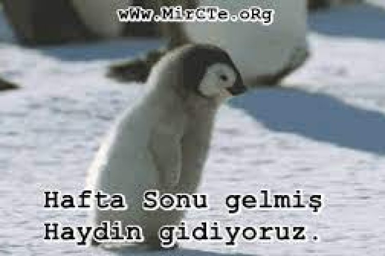 Hafta Sonu Mesajları