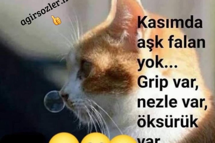 Kasımda Aşk FaLan Yok