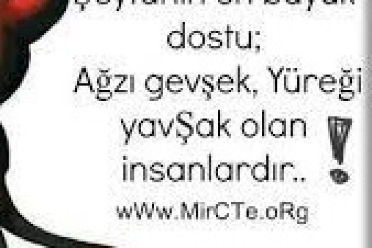 Ağır Damar Sözler