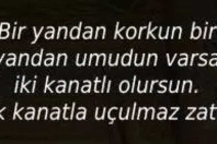 Kanatlanıp uçtuğumuz zamanlarda