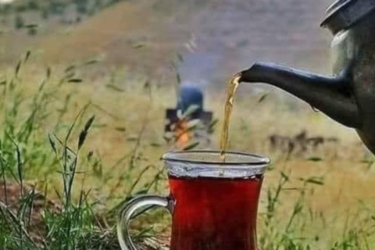 Farkında mısınız