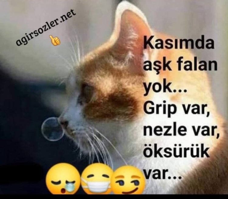 Kasımda Aşk FaLan Yok