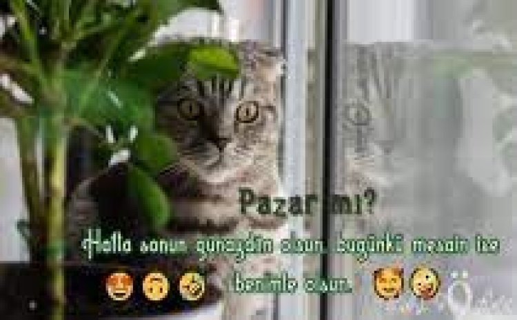 Pazar mesajları