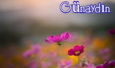 GüNayDıN YaŞamaK