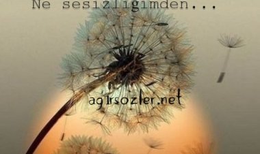 SuS - DuyURamazSın