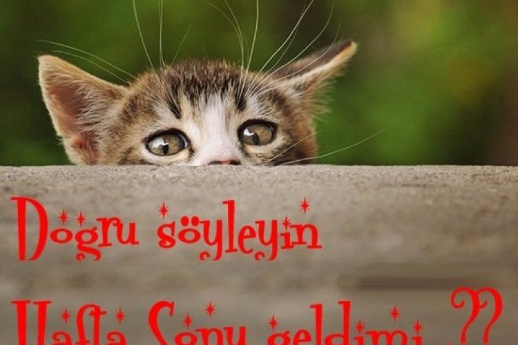 Günaydınlar keyifli Pazarlar