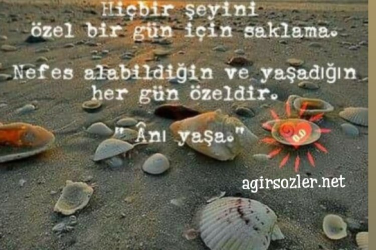ANI YAŞA