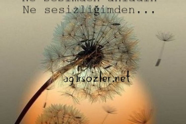 Sesimiz