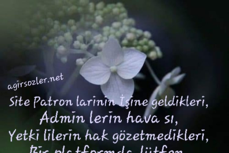 Sosyal Medya