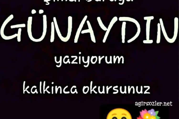 Salı günü sözleri