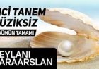 geylani karaaslan dan ilahiler