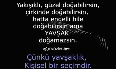 YavŞak -YalaKa-YalaN