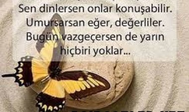 Dostlar Kervanı sözleri