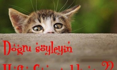 Mutlu hafta sonu Mesajları