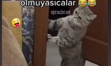 Kör oLmuyasıcıLar:)