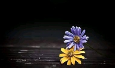 Çiçeklenme vakti...