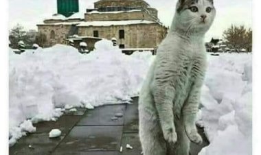 Eğer umuttan bahsediyorsak