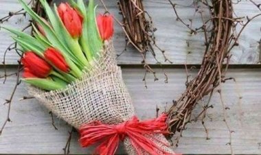 Seven kalplerin kokusu lavantamı