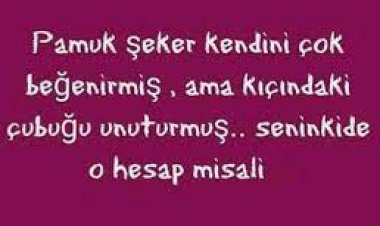 kendini beğenmiş insanlar için sözler