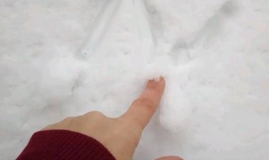 Bazı KADINLAR doğuştan başroldür