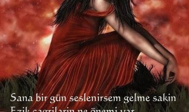 sizinde vardır dimi