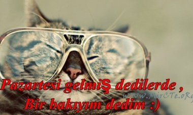 Gene geldi pazartesi