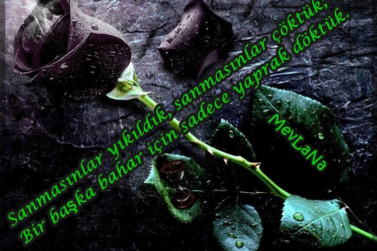 Kısa, Uzun Laf Sokucu Kapak Sözler ve Resimli Mesajları