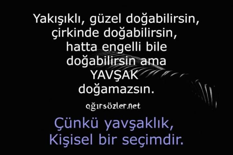 YavŞak -YalaKa-YalaN