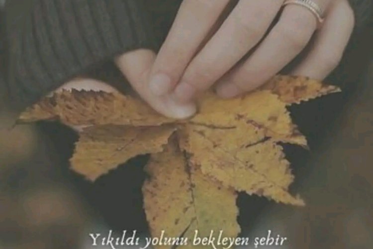 Merhamet-diyorum
