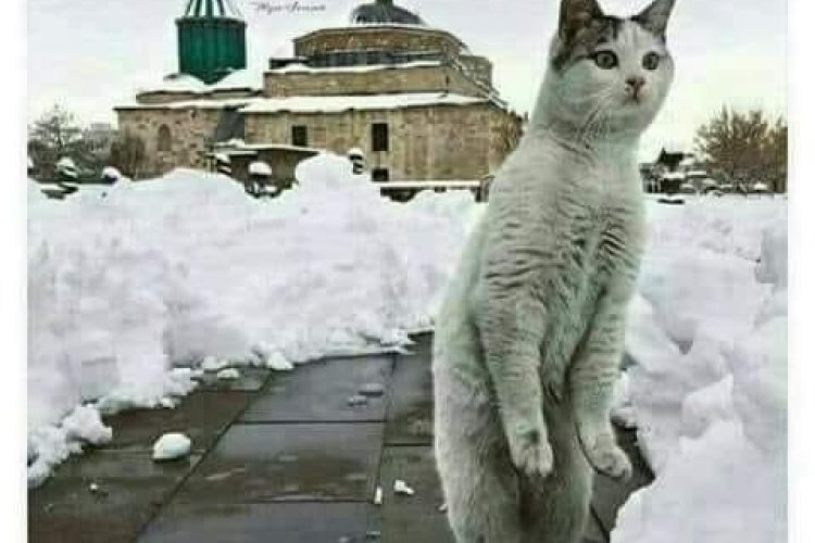 Eğer umuttan bahsediyorsak