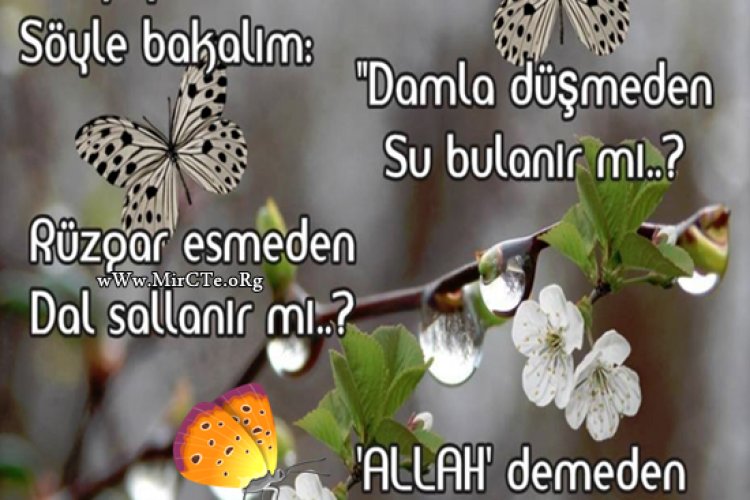 resimli-mevlana-yazilari