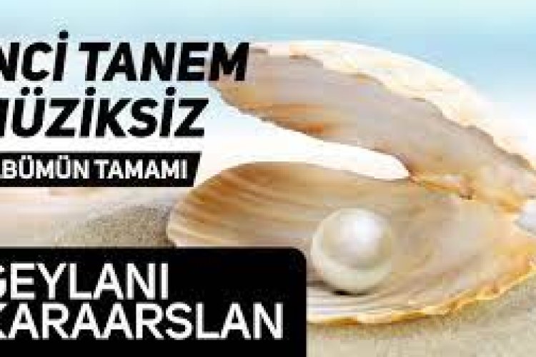 geylani karaaslan dan ilahiler
