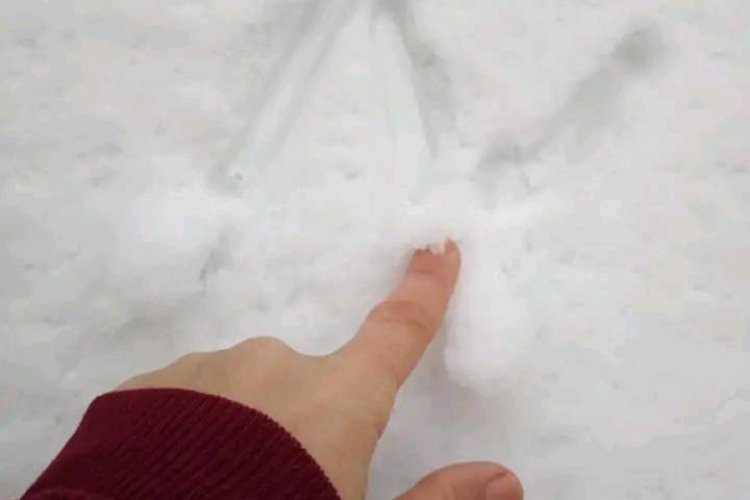 Bazı KADINLAR doğuştan başroldür