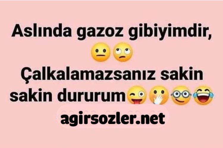 Sakin dururum