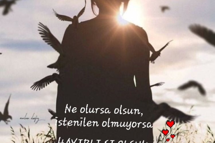 GünayDıN SaLı