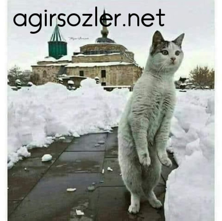 Eğer umuttan bahsediyorsak