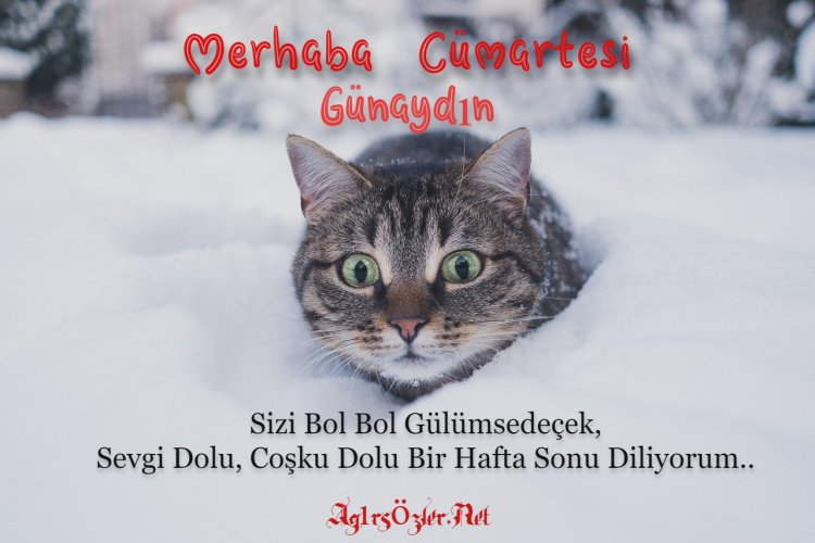 MerHaBa CümarTesİ