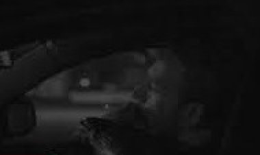 Berken Botan - Vicdansız şarkı sözleri