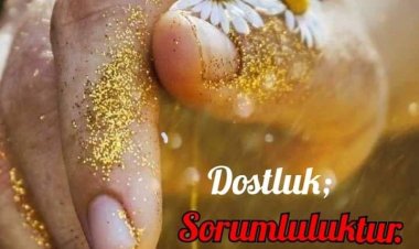 Dostluk da Sorumluluk