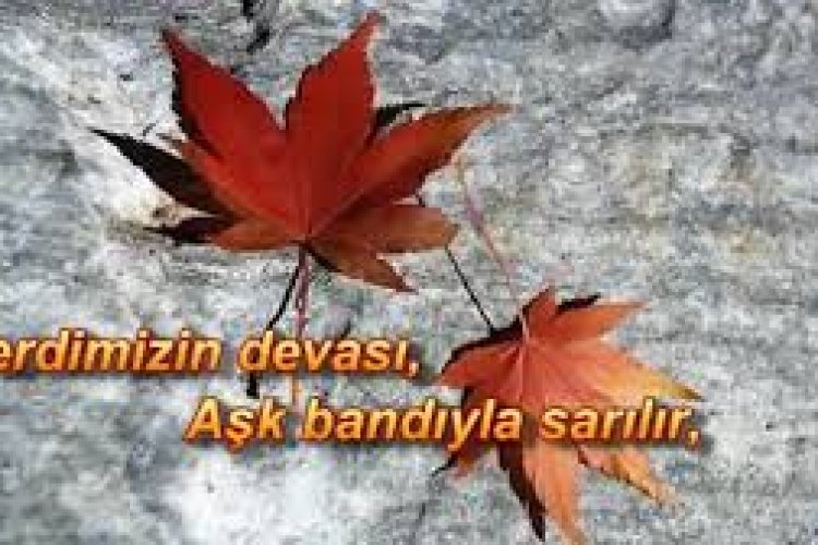 damar şiirler