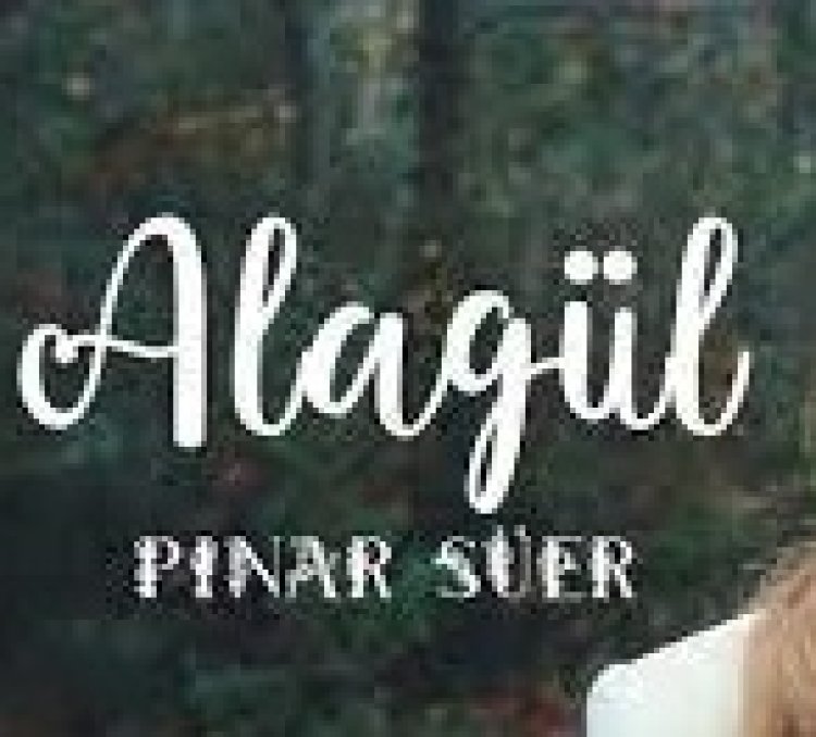 Pınar Süer - Alagül şarkı sözleri