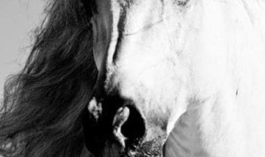 mutlu bereketli bir hafta olsun Günaydın