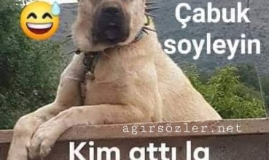 Espiri- Kim Attı O taş ı